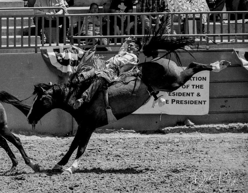 Bareback Riding - Slingin-Shanks