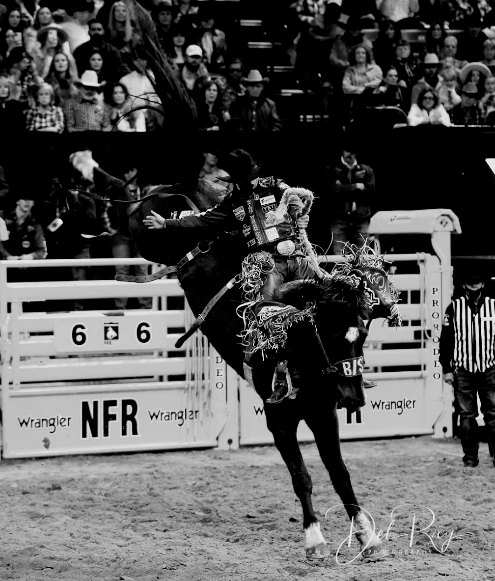 Saddle Bronc Riding - Slingin-Shanks